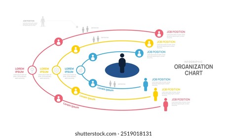 circle Infographic template organization chart with business avatar icons. vector hierarchy schema company.