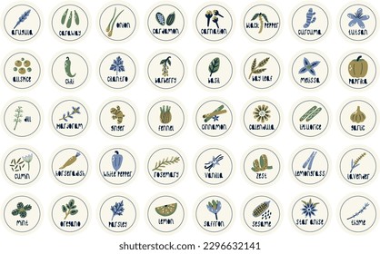 Colección de especias y hierbas de etiqueta circular. Elementos de conjunto botánico de naturaleza vectorial plana