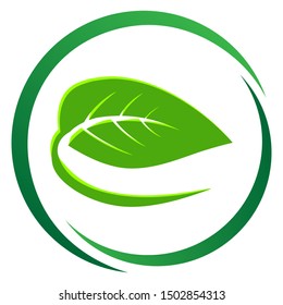 circle leaf organic logo - Vector