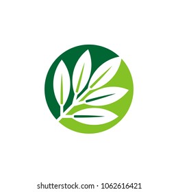 Circle Leaf Ornament Nature Logo Template
