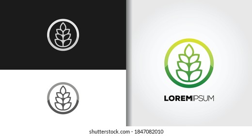 circle leaves logo set idea template vector