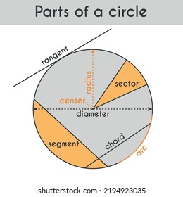 Circle lines, parts. With lines on the same circle; tangent, chord, arc, diameter, radius, sector, segment. Mathematics, trigonometry, geometry. Vector illustration isolated on white background.