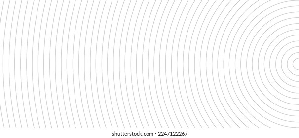 Circle lines pattern on white background. Circle lines pattern for backdrop, brochure, wallpaper template. Realistic lines with repeat circles texture. Simple geometric background, vector illustration