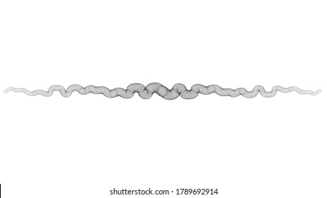 Circular líneas en forma de túnel.  logotipo. tubería de herramienta de mezcla vectorial. elemento de diseño de tubo