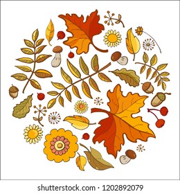 Circle made of autumnal foral elements. Colorful oak, maple leaves and rowan. Design template for invitation card, banner, label and other
