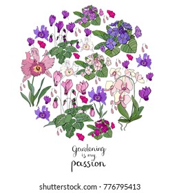 Circle made of tipical home and outdoor plants isolated on white background. Template with decorative flowers used for gardening and home decoration