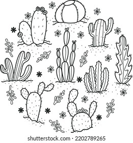 Circle made of various types of cacti