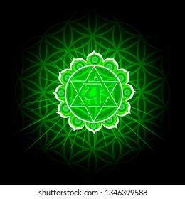 Circle mandala pattern. Anahata chakra vector illustration.