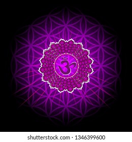 Circle mandala pattern. Sahasrara chakra vector illustration.