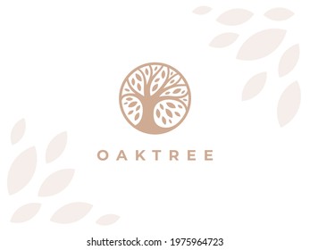 Circle Oak tree logo icon sign. Abstract round garden plant natural symbol. Branch with leaves template. Vector illustration.