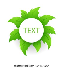 Circle on a background of tropical green leaves for text. Vector illustration.