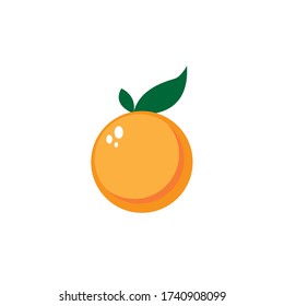 Circle orange fruit logo design