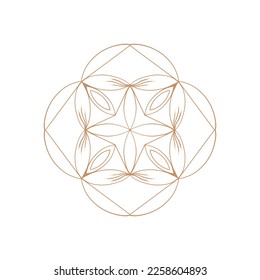 circle ornament element design art