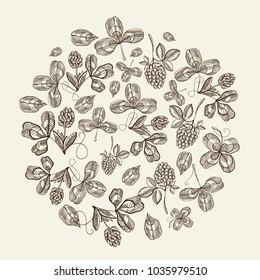 Circle pattern bunches of hop doodle with repeating beautiful berries on white background hand drawing vector illustration