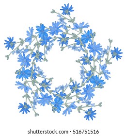 Circle pattern with chicory. Round kaleidoscope of flowers and floral elements. Wreath. Design card.