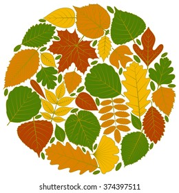 Circle pattern made of tree leaves. Twenty different icons. Various elements for design. Cartoon vector illustration. Autumn colors, green, orange, yellow, red.