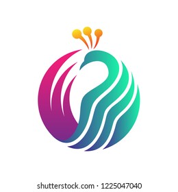 circle peacock flat logo design