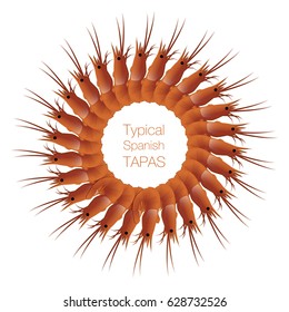 Circle of prawns. Typical Spanish tapa. Vector Illustration