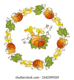 Circle with pumpkins isolated on white. For your design, greeting cards, posters. Orange and green color. 