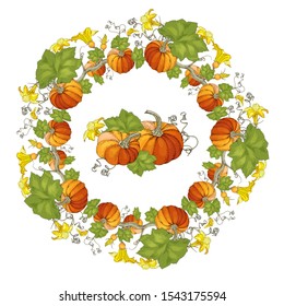 Circle with pumpkins isolated on white. For your design, greeting cards, posters. Orange and green color. 