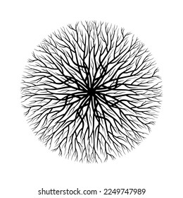 Circle Root Tree of Life Symbol Vector Illustration Isolated on White