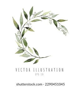 Circle of Seeded eucalyptus leaves watercolor hand draw. Vector illustrationn