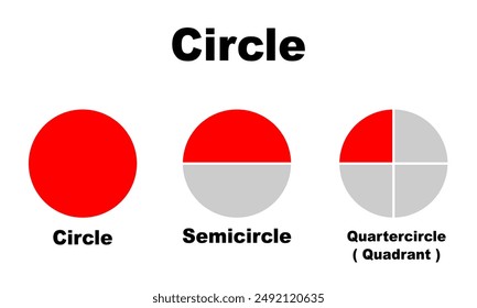 Circle semicircle quadrant basic shape. Circle two dimension shape education for kids in school