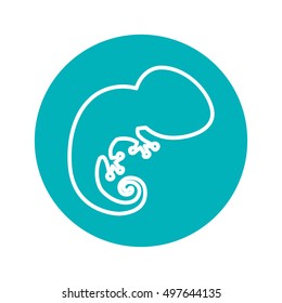 Circle shape with salamander animal