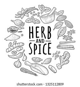 Circle shape set spices. Anise, garlic, cardamom, melissa, cinnamon, cocoa, vanilla, poppy, chilli, ginger, clove, mortar, scoop, pestle , pepper. Vector black vintage engraving isolated on white