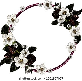 circle shaped frame surrounded by raspberry berries leaves and flowers, sketch vector graphics color illustration on white background