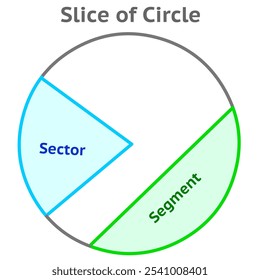 Circle slices, parts. Sector, segment area, arc, diameter, radius. Description with colored fields. explanations. Maths, trigonometry, geometry. Vector illustration 