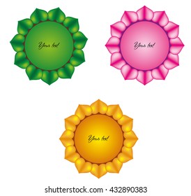 in the circle of a sun flower