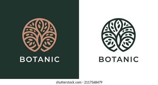 Circle Tree of Life logo icon. Abstract nature branch with leaves business sign. Round garden plant natural line symbol. Vector illustration. svg