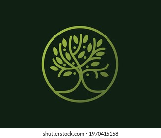 Circle tree logo icon template design. Round garden plant natural line symbol. Green branch with leaves business sign. Vector illustration. Emblem logo.