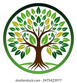 Circle tree logo icon template design. Tree of life. Round garden plant natural line symbol. Green branch with leaves business sign. Vector illustration.