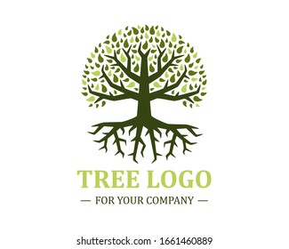 Circle tree logo isolated on a white background. Classic design. Green and brown colors. Lettering. Space for text. Leaves and roots. Simple modern concept. Flat style vector illustration. 