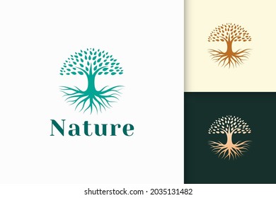 Circle tree logo with root in green color and modern shape