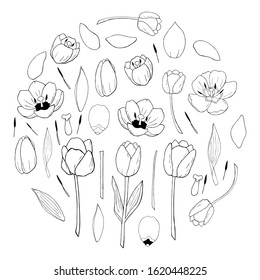 circle of tulips set vector in black and white that consists tulip elements. Construct your own tulip wreath. Elements for constucting easter cards