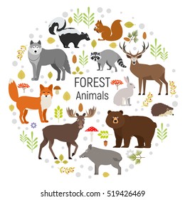 Circle vector set of plants and forest animals. Moose, wild boar, bear, fox, rabbit, wolf, skunk, raccoon, deer, squirrel, hedgehog