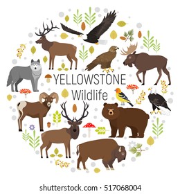 Conjunto vetorial círculo de plantas e Yellowstone National Park animais urso, alce, alce, urso, lobo, águia dourada, bisão, ovelha bighorn, águia careca, tanager ocidental, isolado em fundo transparente