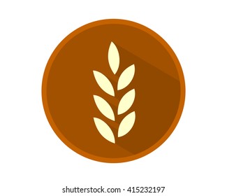 circle wheat brown barley paddy harvest agriculture image vector icon