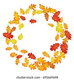 Circle wreath frame of oak leaf vector, round border illustration on white background. Autumn foliage, seasonal image. Red, yellow, orange and brown dry oak tree leaves round frame background pattern.