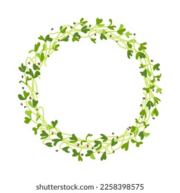 Circle wreath with young leaves seedlings. Microgreens, raw sprouts, healthy eating vector illustration.