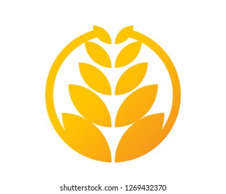 circle yellow paddy wheat barley plant harvest agriculture image vector - Vector