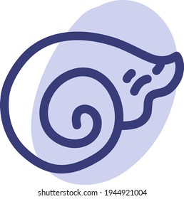 Circled sea shell, illustration, vector on a white background
