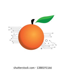 circuit board and peach fruit, vector