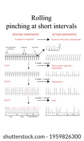 Circuit, rolling, pinching at short intervals, grooming