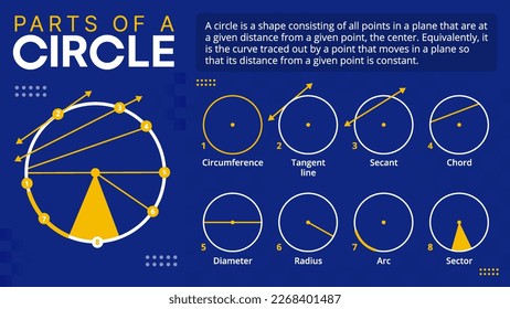 Circular Anatomy- Understanding the Parts of a Circle Vector illustration design