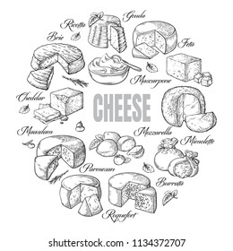 circular background of different cheese top view Vector illustration