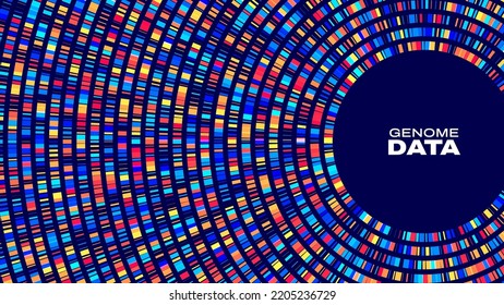 Circular Big Data Graph. DNA Test Infographic. Genome Sequence Map. Chromosome Architecture, Molecule Sequencing Chart. Genetic Science And Technology Concept. Vector Illustration Background.